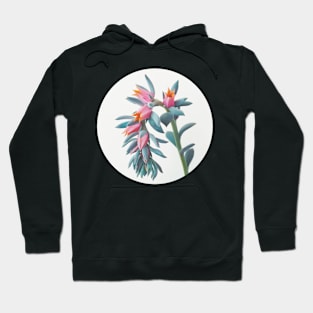 Succulent Cluster Hoodie